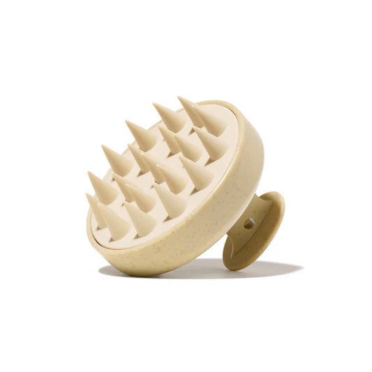 Spazzola per Microcircolazione Firmelià